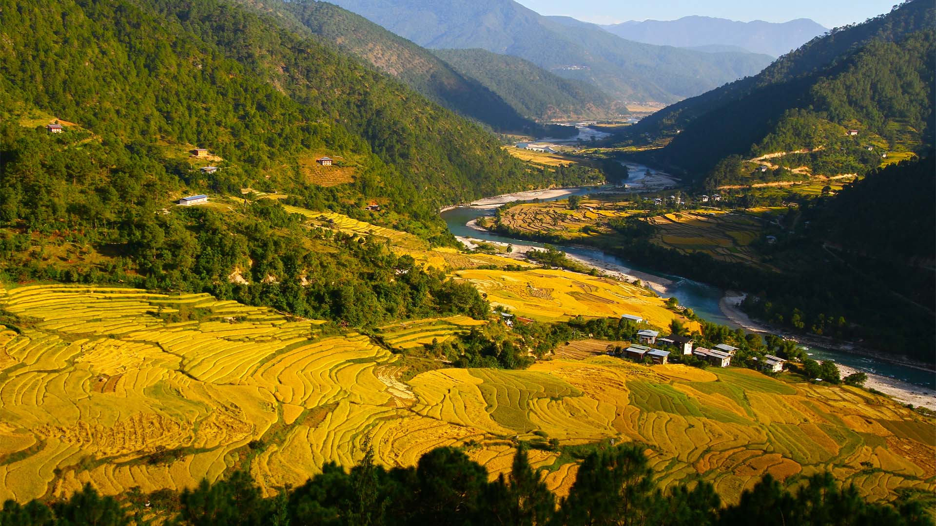 Upper-Punakha-Valley